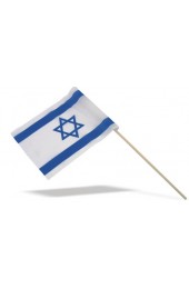 Israel Flag on Stick